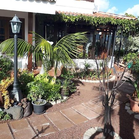 Apartamento Tranquilo En Una Casa Con Jardin La Laguna  Exterior photo